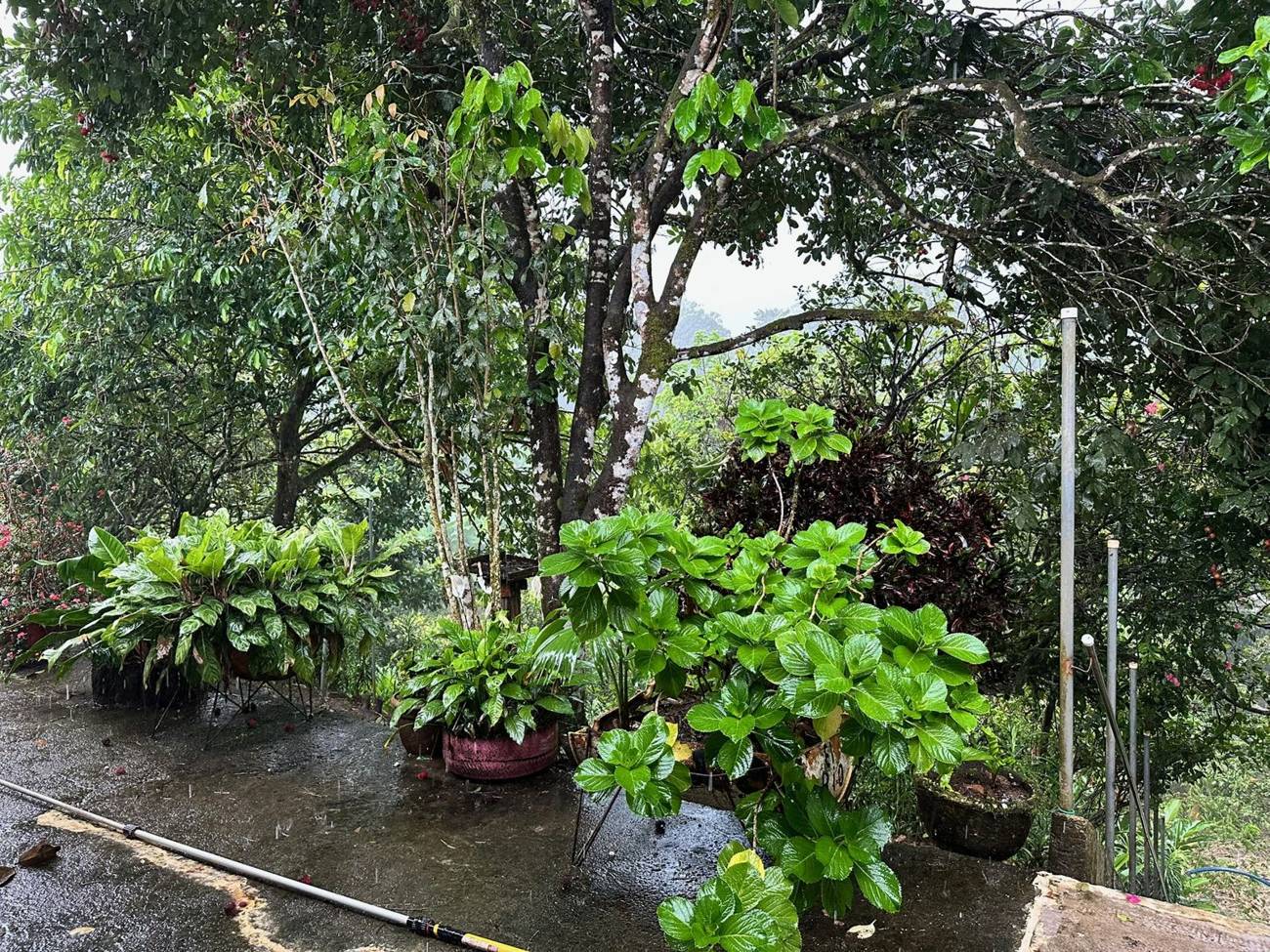 Jardines
