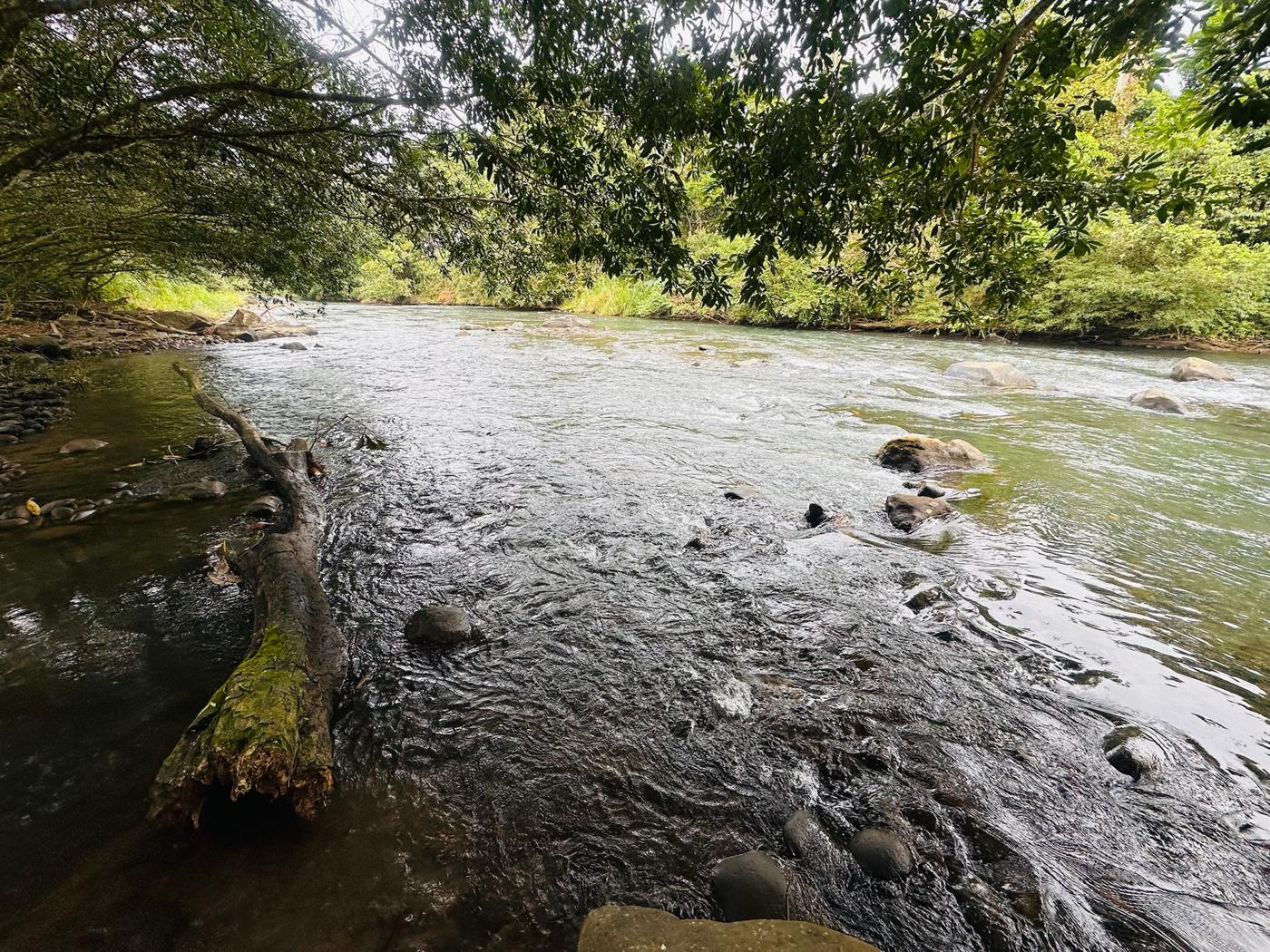 El río junto a Cabinas El Río, Upala